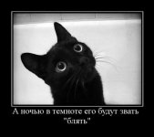 1294913989_1292268886_175319_a-nochyu-v-temnote-ego-budut-zvat-blyat.jpg