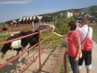 P7070154.jpg P7070154.jpg