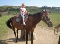 P7070163.jpg P7070163.jpg