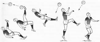 images (19).jpg images (19).jpg