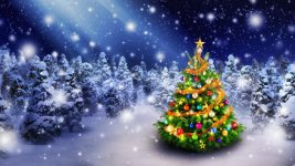 Christmas_Christmas_tree_466796.jpg Christmas_Christmas_tree_466796.jpg