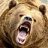 Bear4ik